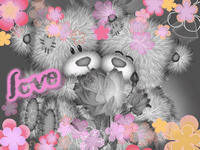 pic for love teddy 